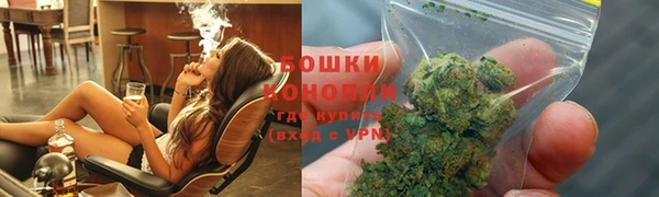 дживик Вязьма