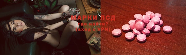 дживик Вязьма