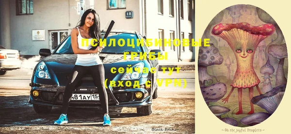 соль ск Вязники