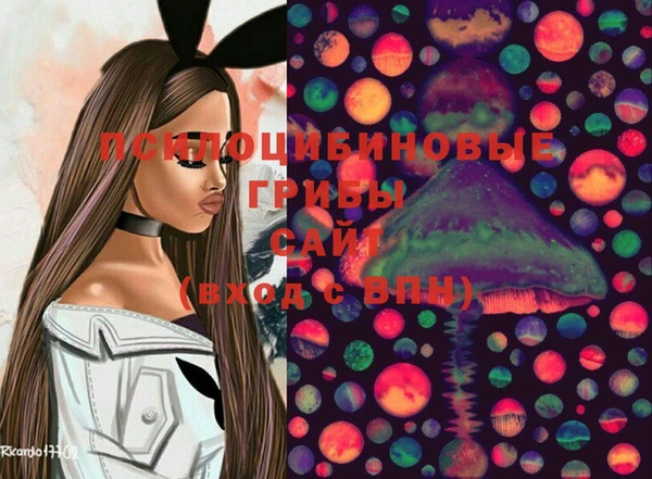 соль ск Вязники