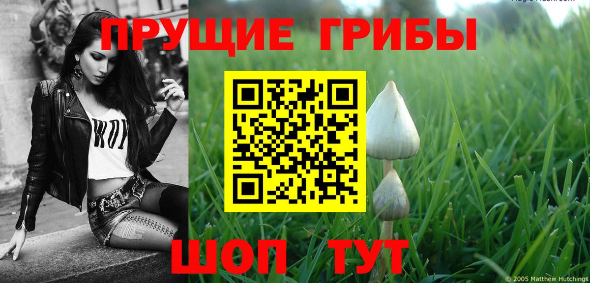 Нижневартовск  Псилоцибиновые грибы ЛСД  Вход с VPN 